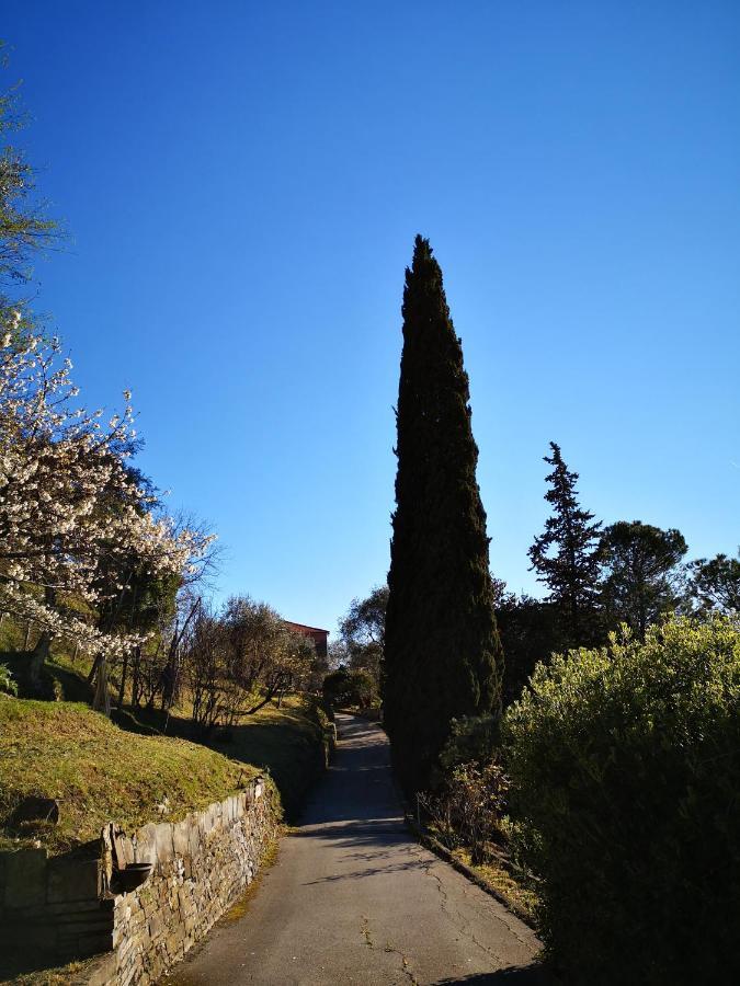 La Vivagna - Casa Vista Mare Tra Gli Ulivi Villa Leivi Dış mekan fotoğraf