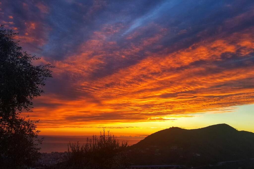 La Vivagna - Casa Vista Mare Tra Gli Ulivi Villa Leivi Dış mekan fotoğraf