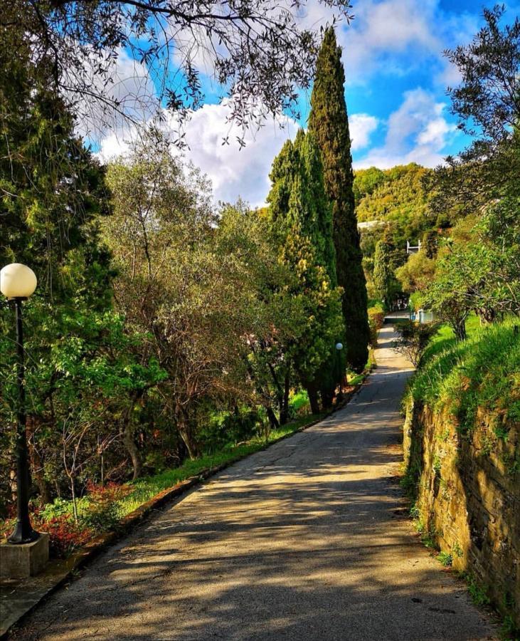 La Vivagna - Casa Vista Mare Tra Gli Ulivi Villa Leivi Dış mekan fotoğraf