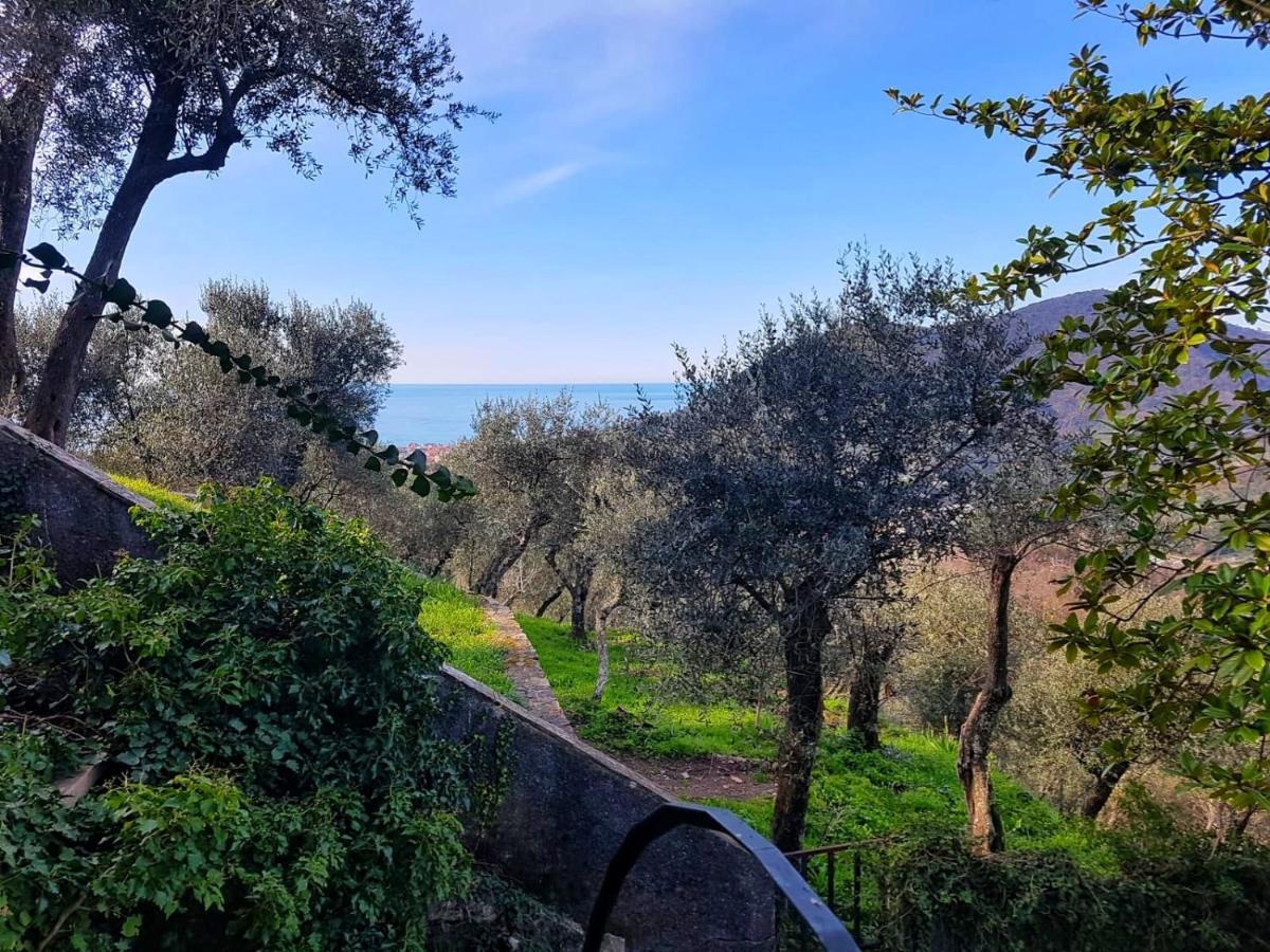 La Vivagna - Casa Vista Mare Tra Gli Ulivi Villa Leivi Dış mekan fotoğraf